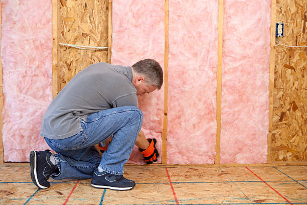 Best Commercial Insulation Services  in Big Pine, CA